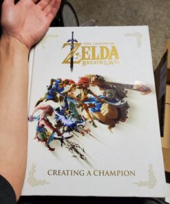 The Legend of Zelda: Breath of the Wild--Creating a Champion 45 71weBYOrL