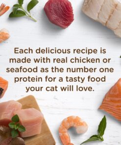 Rachael Ray Nutrish Natural Wet Cat Food, Ocean Lovers Variety Pack, 2.8 Ounce Cup (Pack of 12), Grain Free Variety Pack: Ocean Lover's 2.8 Ounce (Pack of 12) 19 71wgBqotH3L