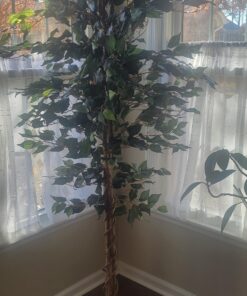 Nearly Natural 6ft. Ficus Artificial Trees, 72in, Green 72 in 34 71wgI0LdaCL