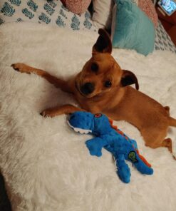 Chanasya Premium Solid Faux Long Fur Throw Blanket - Soft, Fuzzy Throw Blanket - for Bed or Couch - 50" x 65” - White 50x65 Inches A(white) 32 71whHkl0WXL