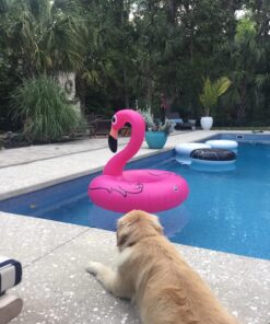 BigMouth Inc. Pink Flamingo Pool Float, Inflates to Over 4ft. Wide, Funny Inflatable Vinyl Summer Pool or Beach Toy, Patch Kit Included 33 71wlkWH4vEL