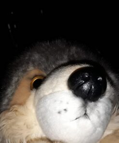 Aurora® Adorable Miyoni® Wolf Stuffed Animal - Lifelike Detail - Cherished Companionship - Gray 16 Inches 18 71wmJfWhFYL