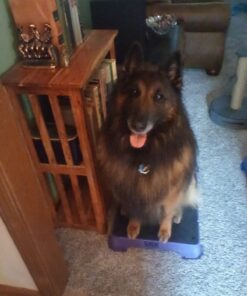 XFasten Double Sided Carpet Tape 2” x 30 Yards Heavy Duty Residue-Free Rug Tape for Area Rugs and Hardwood Floor - Indoor and Outdoor 2" x 30Yds 36 71wr9epJ6BL