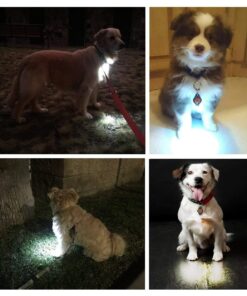 Alternative view of Small Dog Light - Dog Collar Light - Bubbas Leash Light - 2 Per Pack - Dog Walks & Backyard Monitoring. Attaches to Leash, Dog Collar, Harness. Small & Large Dogs. (Stealth Black) Bubba's Leash Light