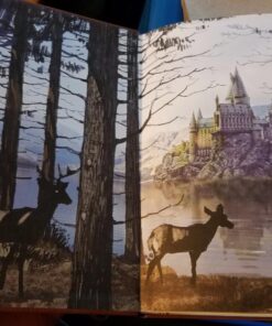 Harry Potter Hogwarts Hardcover Ruled Journal 11 71wvFAUvwgL