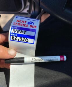 SHARPIE Oil-Based Paint Markers, Fine Point, Assorted Colors, 5 Count - Great for Rock Painting Classic Assorted 5 Count (Pack of 1) Fine Tip 46 71wyBTelVSL