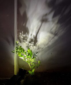 InnoGear Solar Lights for Outside, Solar Lights Outdoor Waterproof Solar Garden Yard Spot Lights Spotlight Pathway Landscape Lighting Wall Light Auto On/Off, Pack of 2 (White) White 59 71wzVaS3EUL