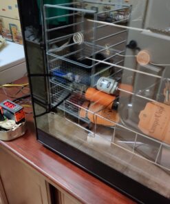 bayite AC 110V Fahrenheit Digital Temperature Controller 10A 1 Relay with Sensor 26 71wzzHETQ8L