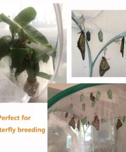 Trasfit Pop-up Insect and Butterfly Habitat Cage Terrarium - 24 Inches Tall 38 71x Shb6aCL