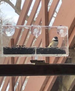 Extra Large Window Bird Feeders for Outside - Clear Bird Feeders for Viewing - Extra Strong Suction Cup Bird Feeder Window - Drainage Holes, Detachable Large Seed Tray, and Rubber Perch for Wild Birds Rectangular 32 71x0VJ6HXL