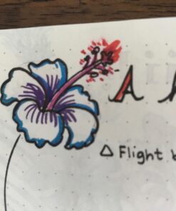 SAKURA Pigma Micron Brush Pens - Archival Black and Colored Ink Pens - Pens for Writing, Drawing, or Journaling - Black and Assorted Colored Ink - Brush Nibs - 8 Pack 8 Color Set Colors May Vary 29 71x0hGQ2NGL