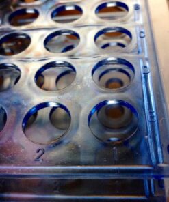 Karter Scientific 208V2 Plastic Test Tube Rack for 12/13mm Tubes, Holds 50, Detachable (Single) Single 26 71x0zyZ QML