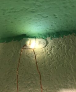 Command Small Decorating Clips, Damage Free Hanging Light Clips with Adhesive Strips, No Tools Small Wall Clips for Hanging Lights and Cables, 40 White Clips and 48 Command Strips 40 Clips 45 71x1bqIQd4L