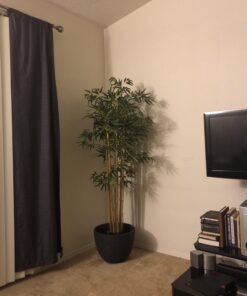 Nearly Natural 5179 5ft. Bambusa Bamboo Silk Tree, 60in. , Green 60 in 46 71x1dK5FVZL