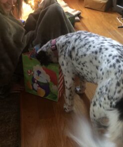 GREENIES Original Regular Natural Dog Dental Care Chews Oral Health Dog Treats, 36 count (Pack of 1) Chicken 36 Count (Pack of 1) 50 71x1eQ0tfbL