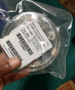 Mold Armor Do It Yourself Mold Test Kit 41 71x3rlHToWL