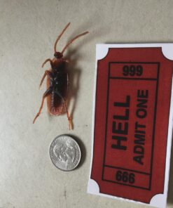 StickerJOE Ticket to Hell Funny Cool Sticker 3.5" X 2" 10 71x9VCEO L