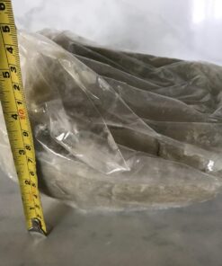 SmellGood Ivory Raw Unrefined Shea Butter 3lb 3 Pound (Pack of 1) 40 71xAKoe3zL