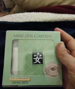 Toysmith Mini Zen Garden - Colors May Vary 1 32 71xCPZFXGiL