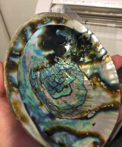 Vrinda ®Abalone Shell and 6'' Wooden Tripod Stand 26 71xHVgTOA2L