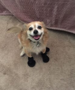 Hipaw Summer Breathable Dog Boots Nonslip Sole Paw Protector for Hardwood Floor Small ( Insole: 2.15"W ) Black 21 71xKlcq4D2L