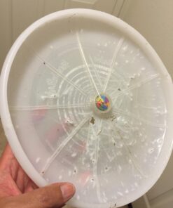 Nite Ize Flashflight LED Light Up Flying Disc Replaceable Batteries Disc-o 41 71xN416KL