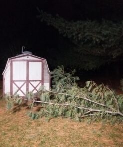 GLW 12V AC or DC LED Flood Light,10W Mini IP65 Waterproof Outdoor Light,900LM,6000K,Daylight White Security Light,80W Halogen Bulb Equivalent Daylight White (10W) 36 71xNE614ML