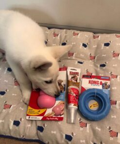 KONG Puppy Tires - Durable Puppy Chew Toy - Soft Rubber Treat Toys for Puppies & Dogs - Stuffable Dog Chew Toy - Puppy Teething Toy for Fetch & Mental Enrichment - Tire Chew Toy - Medium/Large Puppies 40 71xOwiqCA6L 2