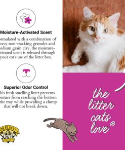 Dr. Elsey's Premium Clumping Cat Litter | Ultra Scented | 99.9% Dust-Free, Low Tracking, Hard Clumping, Superior Odor Control, Natural Ingredients & Moisture-Activated Scent 40 Lb / 18.14 Kg 20 71xPiqhrk5L