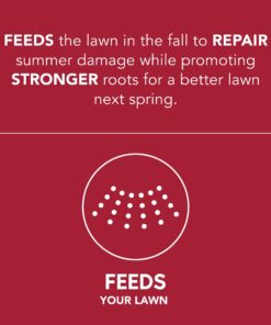 Scotts Turf Builder WinterGuard Fall Lawn Fertilizer for All Grass Types, 5,000 sq. ft., 12.5 lbs. 5,000 sq. ft. 29 71xRN70BPTL