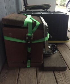 PetSafe Healthy Pet Simply Feed - Automatic - Headquartered in Knoxville, TN - Automatic Dog Feeder from the Engineers of the Smart Feed & Dancing Dot - 1-Year Comprehensive Protection Plan,Black 53 71xRqsbjewL 1