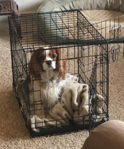 Paws & Pals Dog Crate, 24" Pet Cage, Wire Metal Kennel, with Tray, Foldable & Portable, Durable Steel Wire, Easy Setup, Ideal for Puppies & Kittens, Black 24.0"L x 16.0"W x 20.0"H 29 71xToMUHML