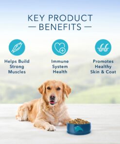 Blue Buffalo Dog Food for Puppies, Life Protection Formula, Natural Chicken & Brown Rice Flavor, Puppy Dry Dog Food, 15 lb Bag 15.00 Pound (Pack of 1) 21 71xUhptFkWL 2