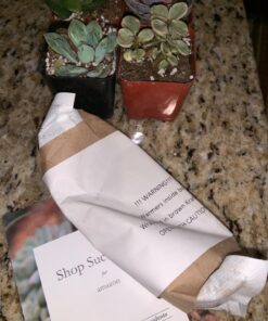 Shop Succulents Unique Succulent Plant Pack Collection - Live Mini Succulent Plants, Low Maintenance, Exceptional Colors & Textures - Wedding and Party Favors, Gift & Garden, Pack of 4 4-Pack Succulent Packs 34 71xW8ry66kL