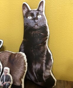 PPD Inkjet PREMIUM Iron-On Dark T Shirt Transfers Paper LTR 8.5x11" pack of 10 Sheets (PPD004-10) 38 71xX SBXYuL