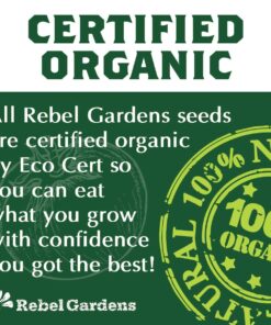 Hot Pepper Seeds - Organic Heirloom Chili Seed Variety Pack for Planting - Cayenne, Jalapeno, Habanero, Poblano, and More 32 71xXAMxQT L