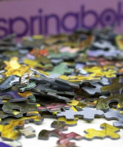 Springbok's 500 Piece Jigsaw Puzzle Book Shop 16 71xXIzAhAL