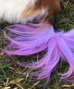 MANIC PANIC Enchanted Forest Green Hair Dye – Classic High Voltage - Semi Permanent Deep Teal Green Hair Color With Blue Undertones - Vegan, PPD & Ammonia Free (4oz) 4 Fl Oz (Pack of 1) 55 71xcQp41Z6L