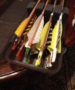 MTM Ultra Compact Arrow Case Clear Smoke 43 71xdwNqQsUL