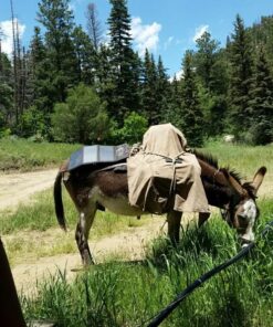 Ryno Tuff 21W Lightweight Portable Solar Charger for Camping - Foldable Solar Powered Cells with 2 USB Ports To Fast Charge Smartphones, Tablets & Battery Packs -Charge While Hiking, Camping & Fishing Black 26 71xefAKbu7L 1