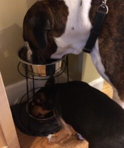 SPOT Elevated Dog Feeder, Stainless Steel, Single Bowl, Hygienic, Easy to Clean, Promotes Proper Posture, Ideal for Medium and Large Breeds, 14-Inch 36 71xeohkTNZL