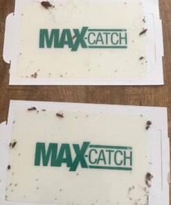 Max Catch 72 Pack Professional Strength - Mouse, Rat & Pest Glue Scented Sticky Trap for Rodents and Insects - Ready to Use Indoors - Non Toxic, No Mess, Easy Cleanup Mice Trap by Catchmaster 29 71xj9meqbL