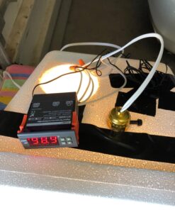 bayite AC 110V Fahrenheit Digital Temperature Controller 10A 1 Relay with Sensor 35 71xjYNq7HSL