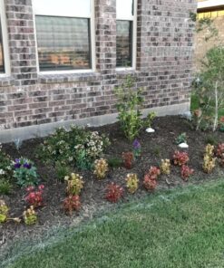 TeaDrops Organic All Purpose Plant Fertilizer – 16 Liquid Indoor House Plant Food Packets – Make up to 32 Gallons (Easy use in Watering Can & Containers, Ecofriendly) All Purpose Fertilizer 53 71xjgazaGWL