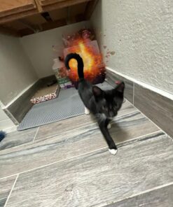 IRIS USA Large Split-Hood Cat Litter Box with Scoop and Grate, Blue Split Hooded - Navy 43 71xkPPNuQaL