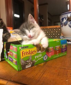 Purina Friskies Pate - (2 Packs of 12) 5.5 oz. Cans 5.50 Ounce (Pack of 24) Pate Variety Pack 47 71xkb4M0LuL