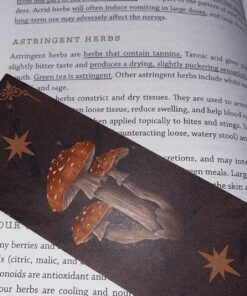 The Modern Herbal Dispensatory: A Medicine-Making Guide 64 71xkoh2oCGL