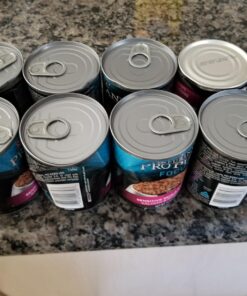 Purina Pro Plan Sensitive Skin and Stomach Dog Food Pate, Sensitive Skin and Stomach Salmon and Rice Entree - 13 oz. Can Salmon & Rice - Wet Dog Food (12) 13 oz. Cans 38 71xo9sDYltL