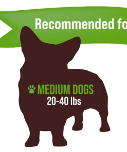 Buck Bone Organics Dog Chews, Antlers for Dogs, Premium Natural Elk, Long Lasting Dog Bones for Aggressive Chewers, No Preservatives, Wild Shed in The USA (Medium 2 Pack) Medium 2 Pack 5 71xoqNuOUrL