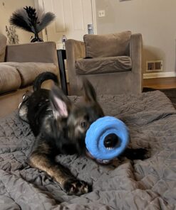 KONG Puppy Tires - Durable Puppy Chew Toy - Soft Rubber Treat Toys for Puppies & Dogs - Stuffable Dog Chew Toy - Puppy Teething Toy for Fetch & Mental Enrichment - Tire Chew Toy - Medium/Large Puppies 36 71xp5q4A3L